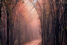 包含Rookie重要时刻出色发挥，公牛带队取胜！再创辉煌时刻的词条